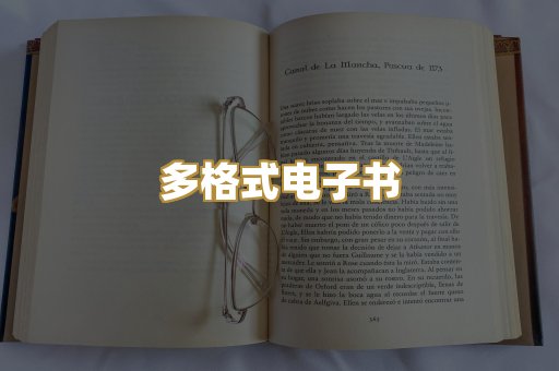 多格式电子书